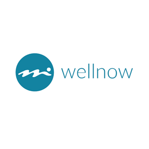 Wellnow logo